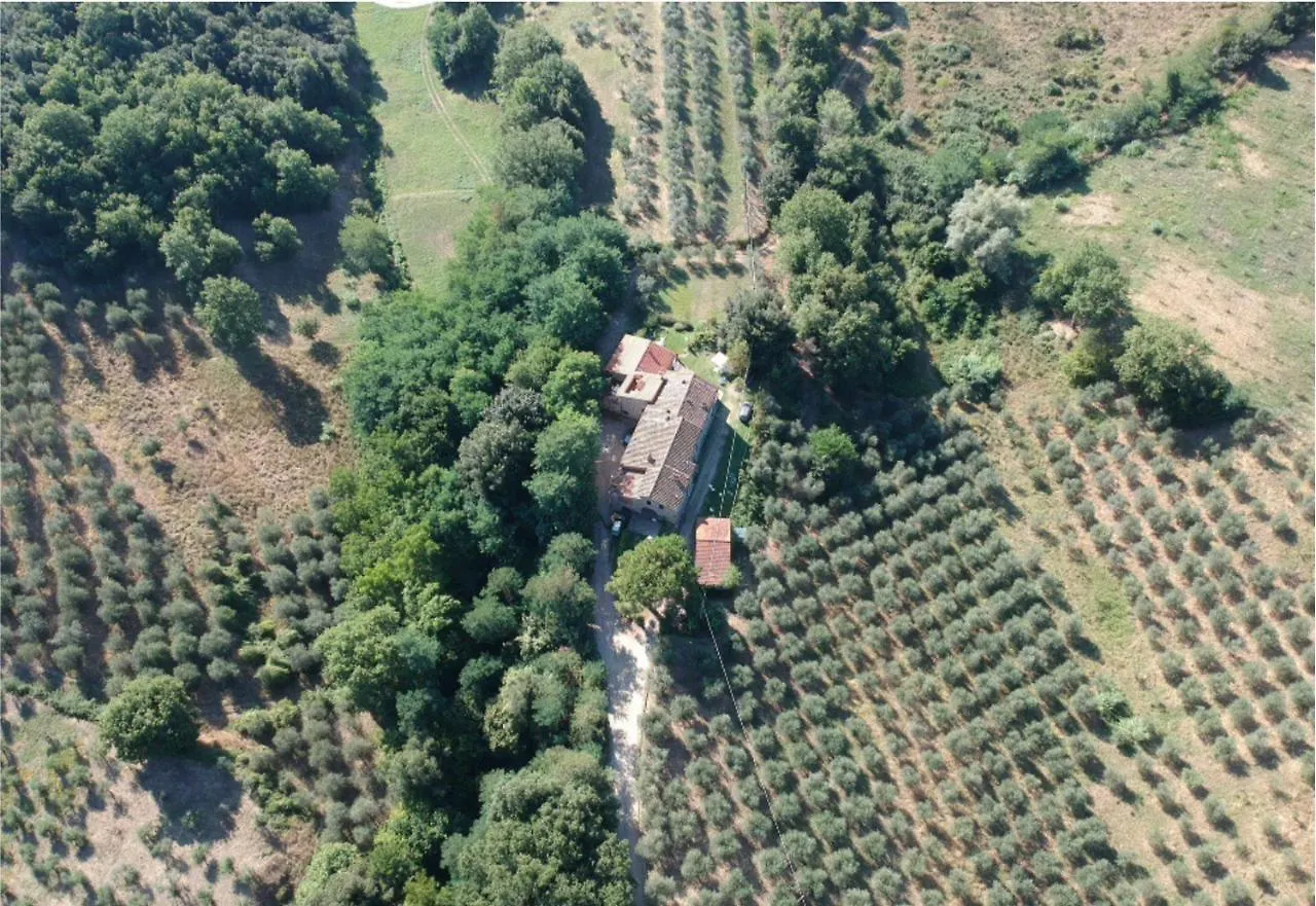 Agriturismo Fattoria Celle Figline Valdarno