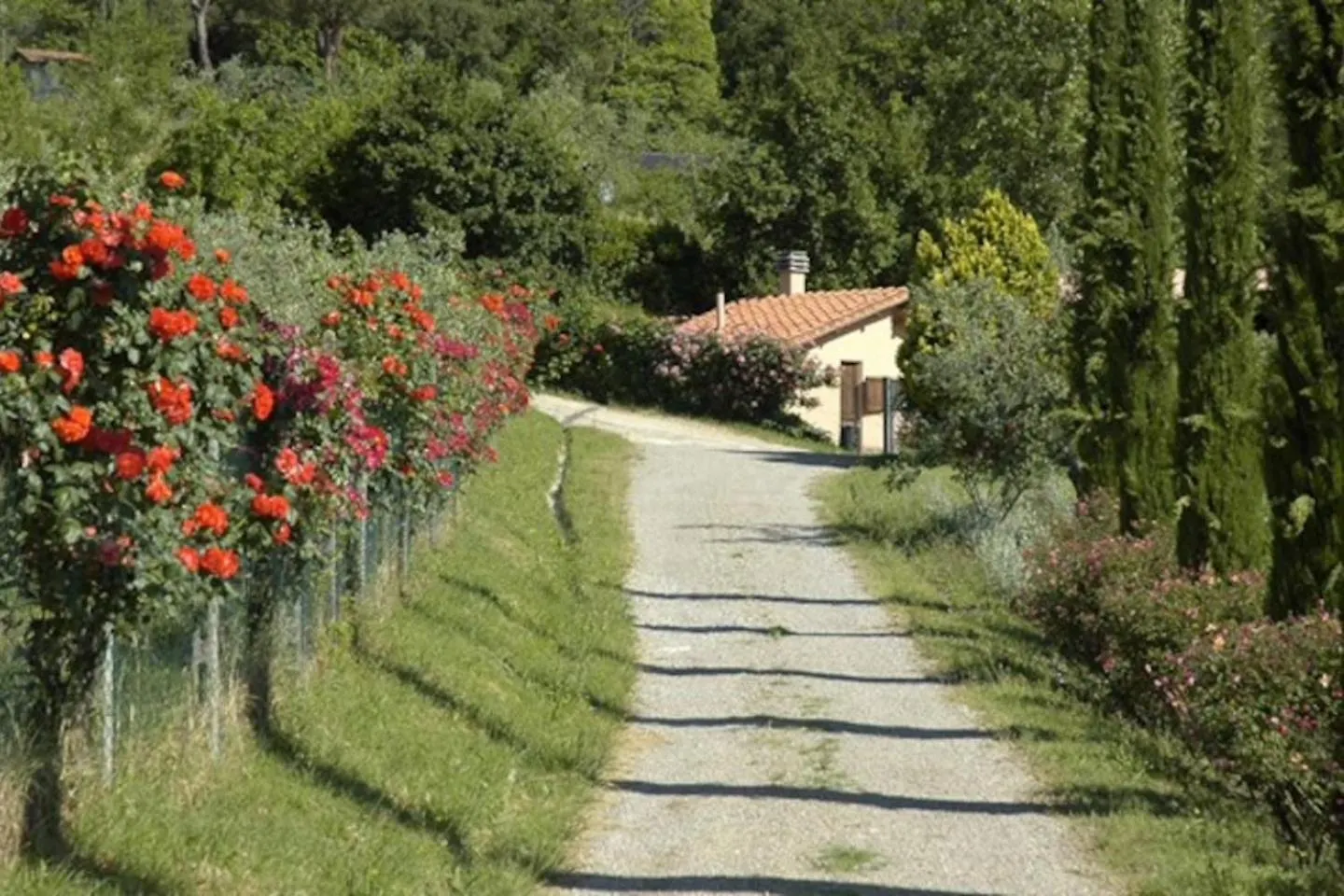 Agriturismo Fattoria Celle Figline Valdarno Ferienhaus